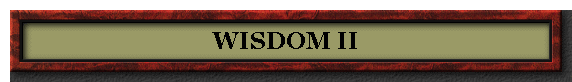 WISDOM II